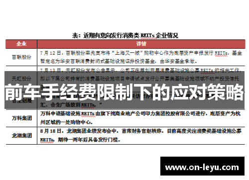 前车手经费限制下的应对策略