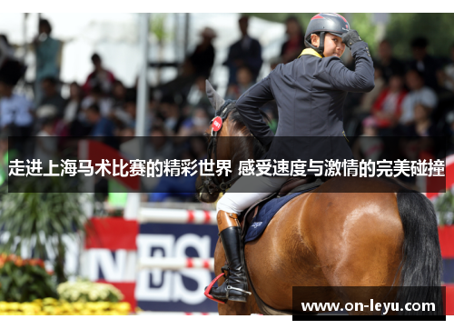 走进上海马术比赛的精彩世界 感受速度与激情的完美碰撞