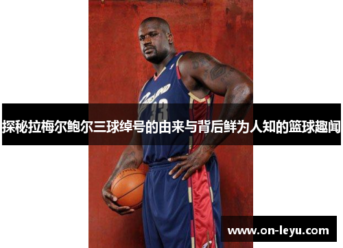 探秘拉梅尔鲍尔三球绰号的由来与背后鲜为人知的篮球趣闻